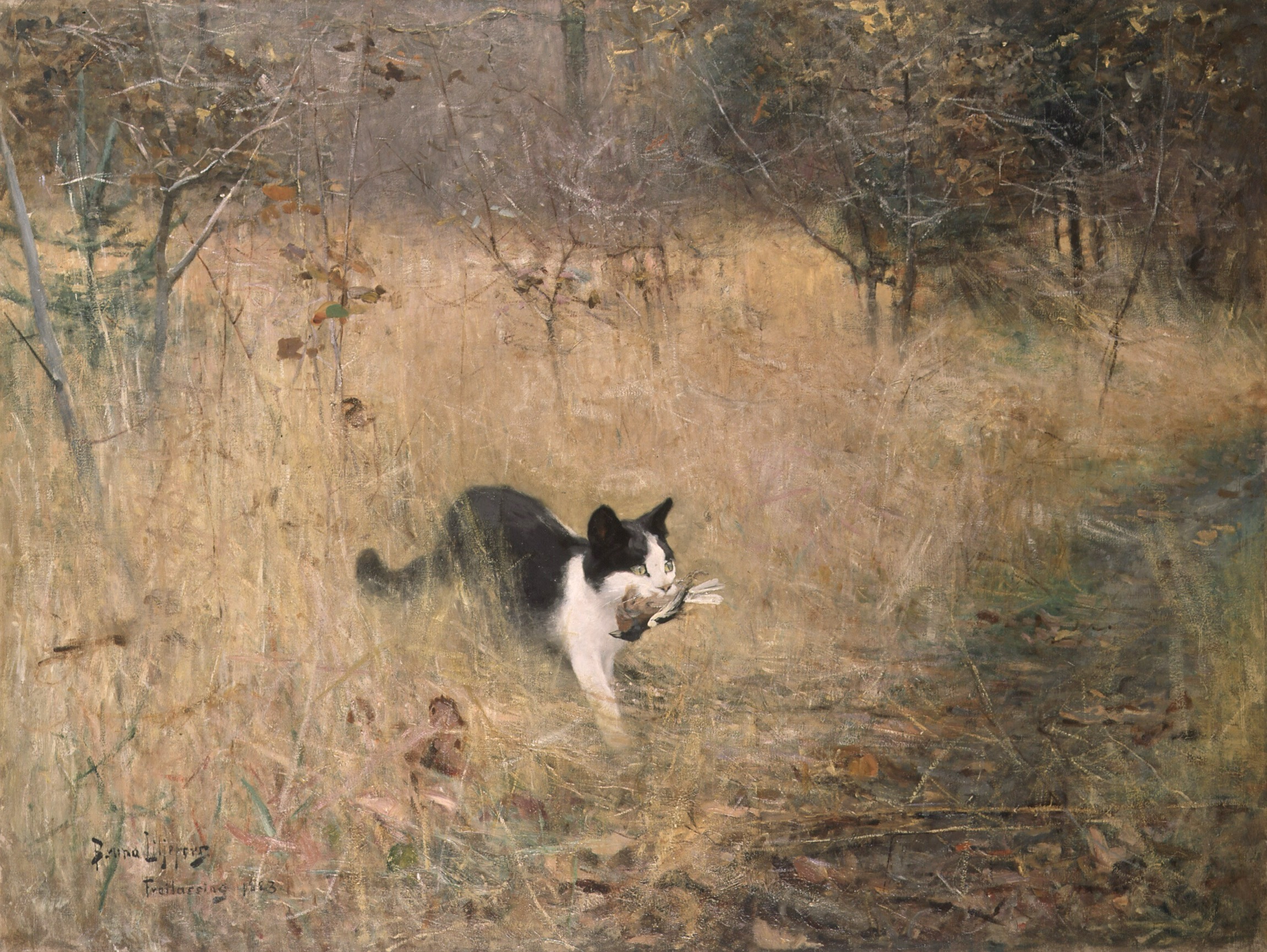Cat carrying a bird