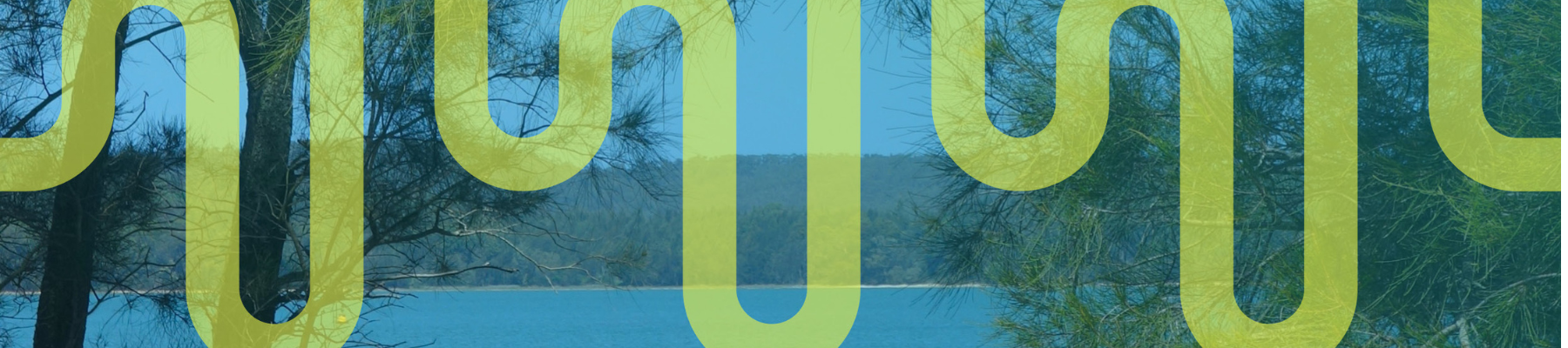 Our Listening Report | We've heard what you've been telling us about the things you love and value about the Lyne Electorate and what you want in a Federal MP.  We're thrilled to share with your our inaugural listening report: Lyne Insights 2024