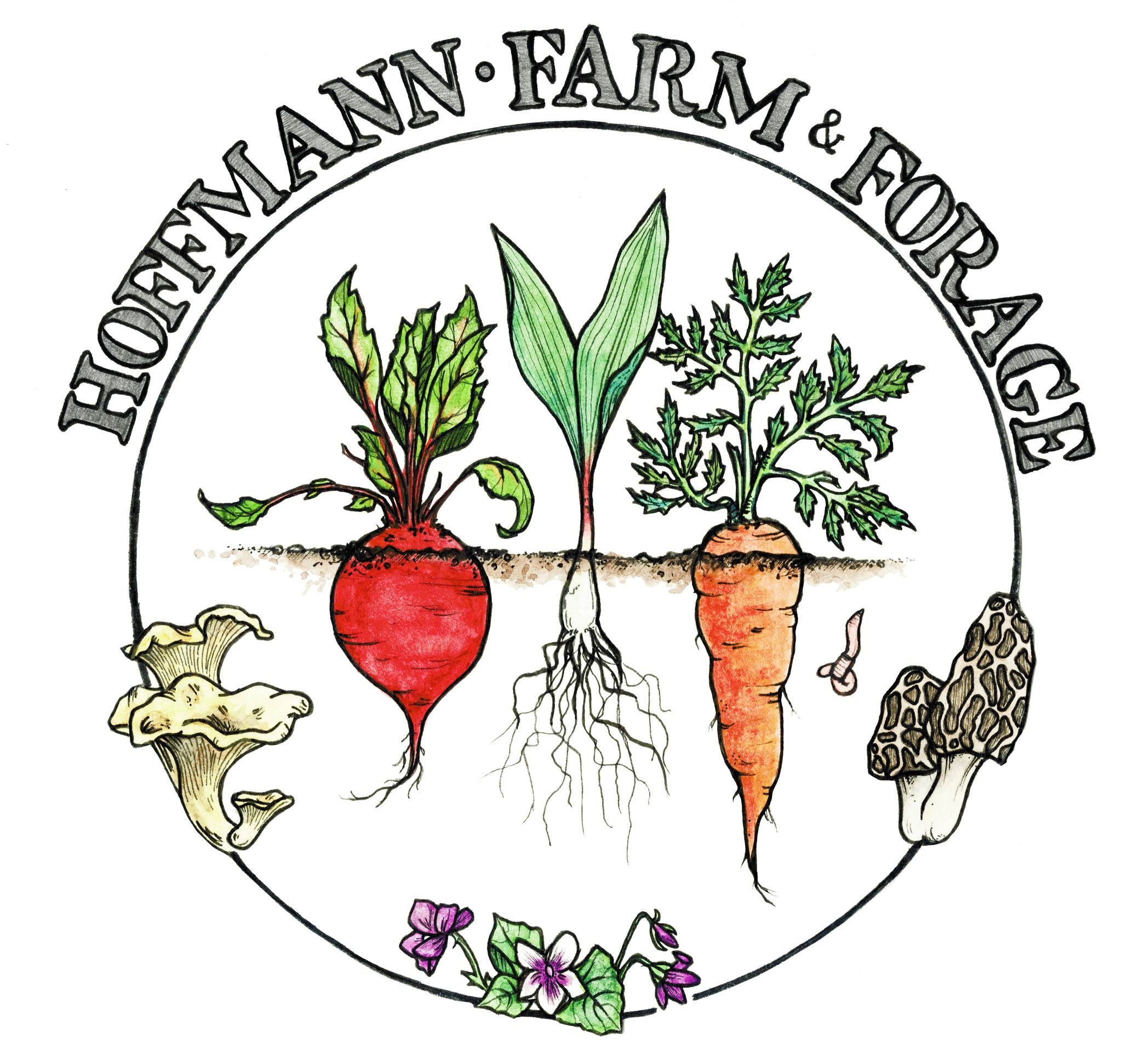 Hoffmann Farm & Forage Hoffmann Farm & Forage