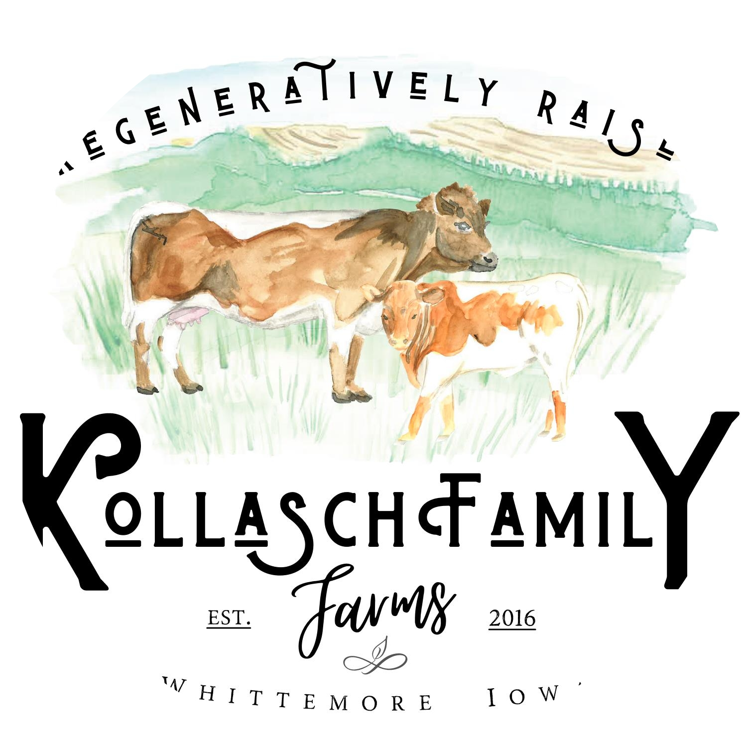 Kollasch