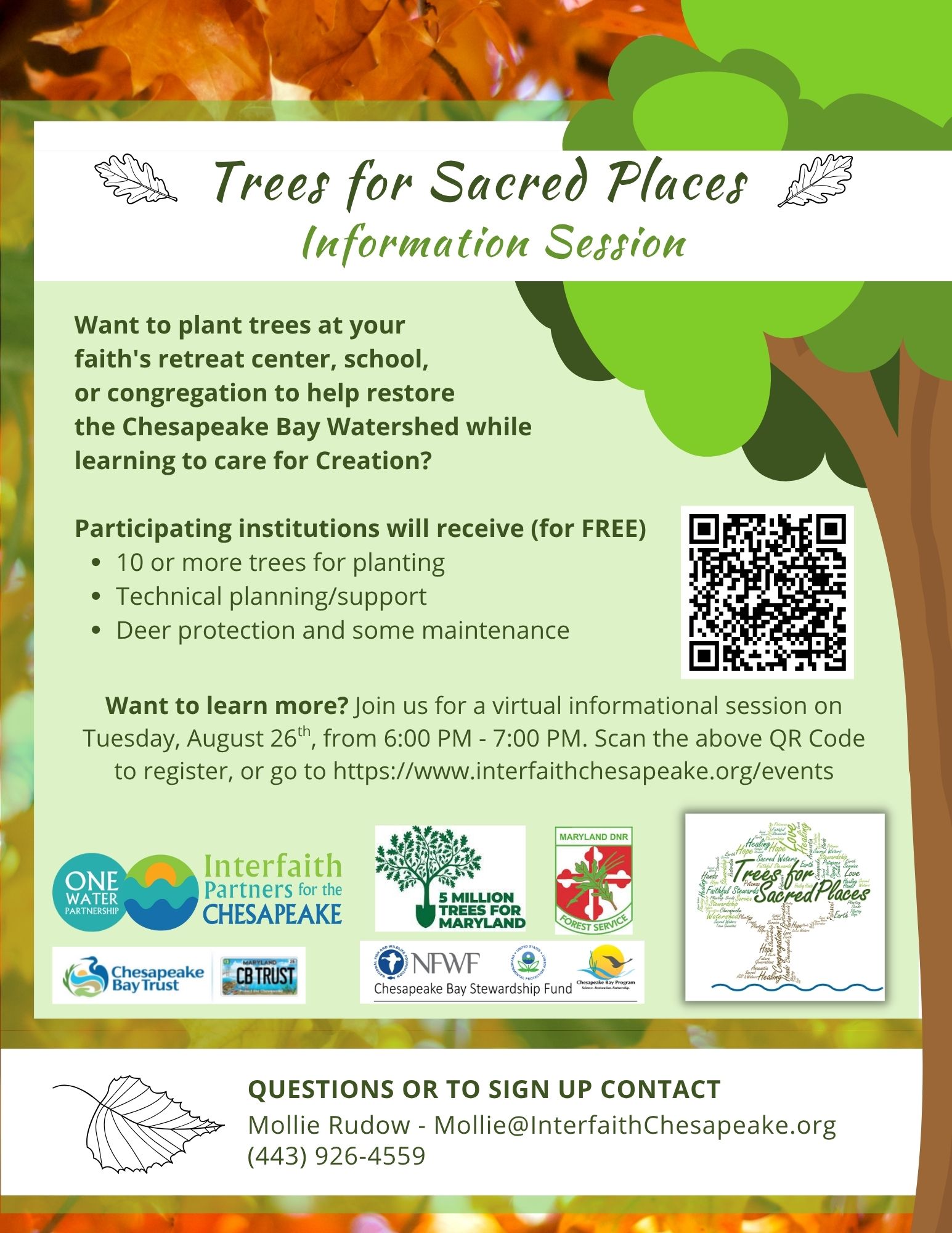 Information about tree planting at congregations Trees for Sacred Places
