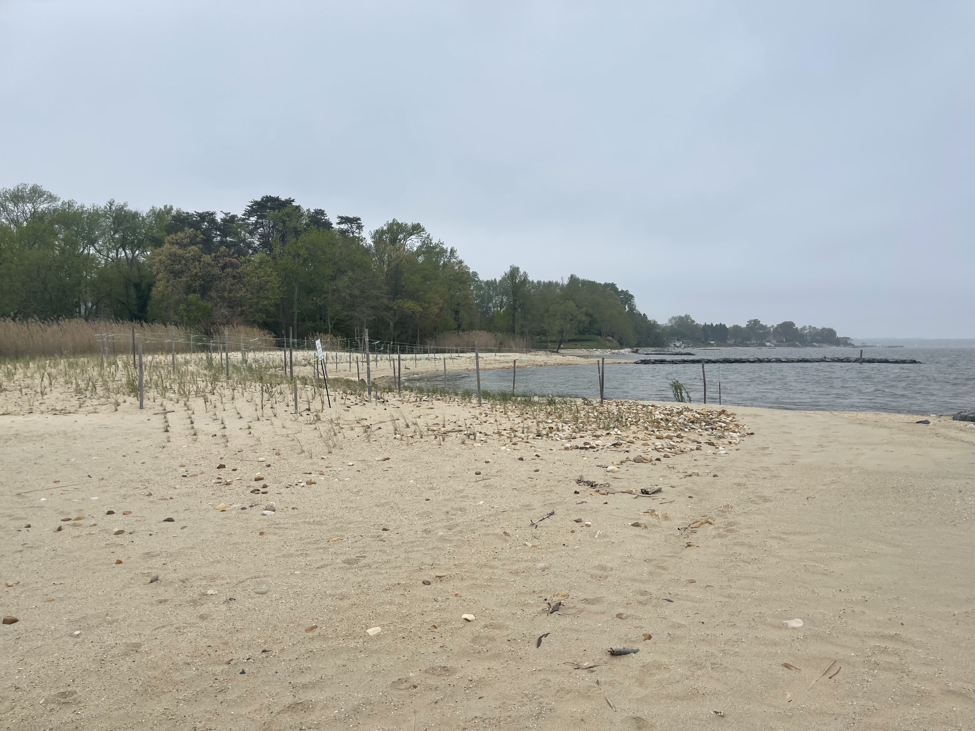 Mayo Beach Park Mayo Beach Park Restoration