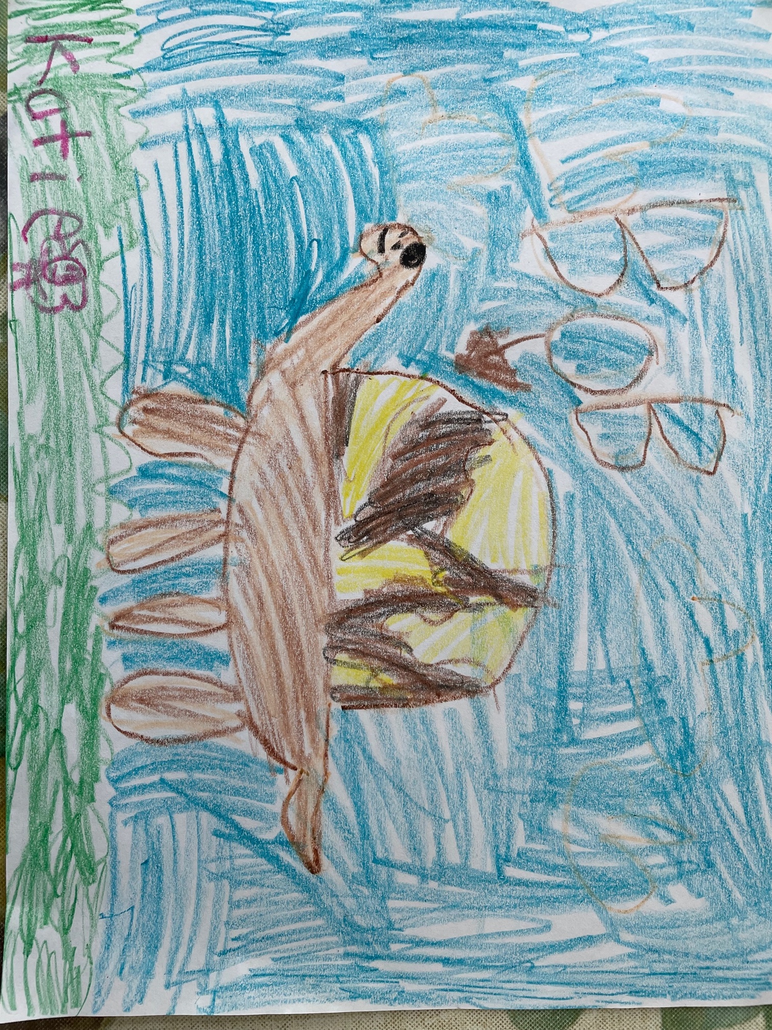 COA Turtle Kid Drawing