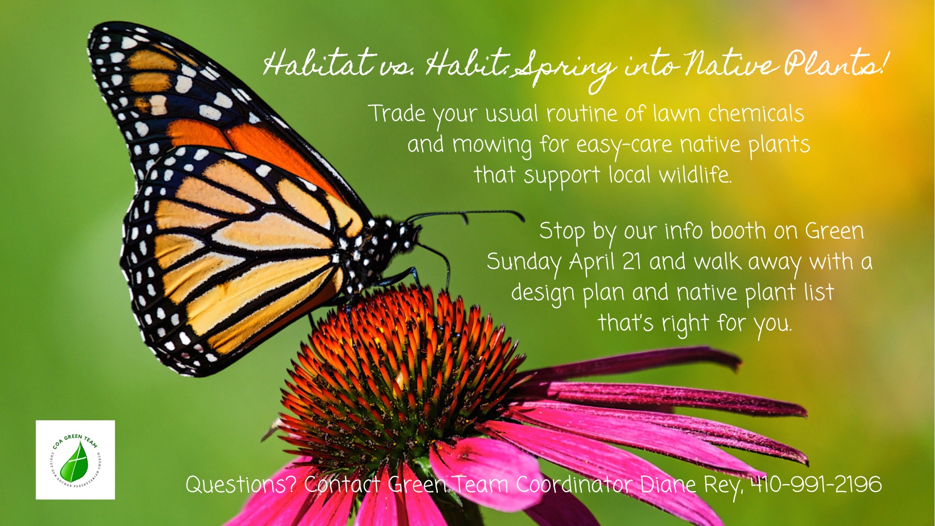 Green Sunday in Anne Arundel County Christ Our Anchor Native Plants