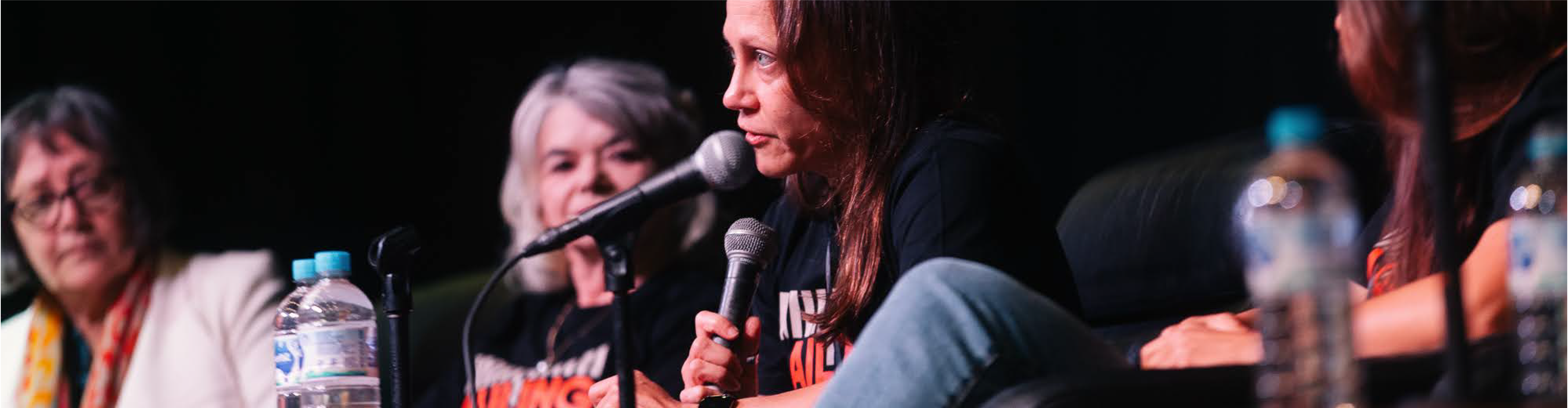 Reintegration Puzzle Conference