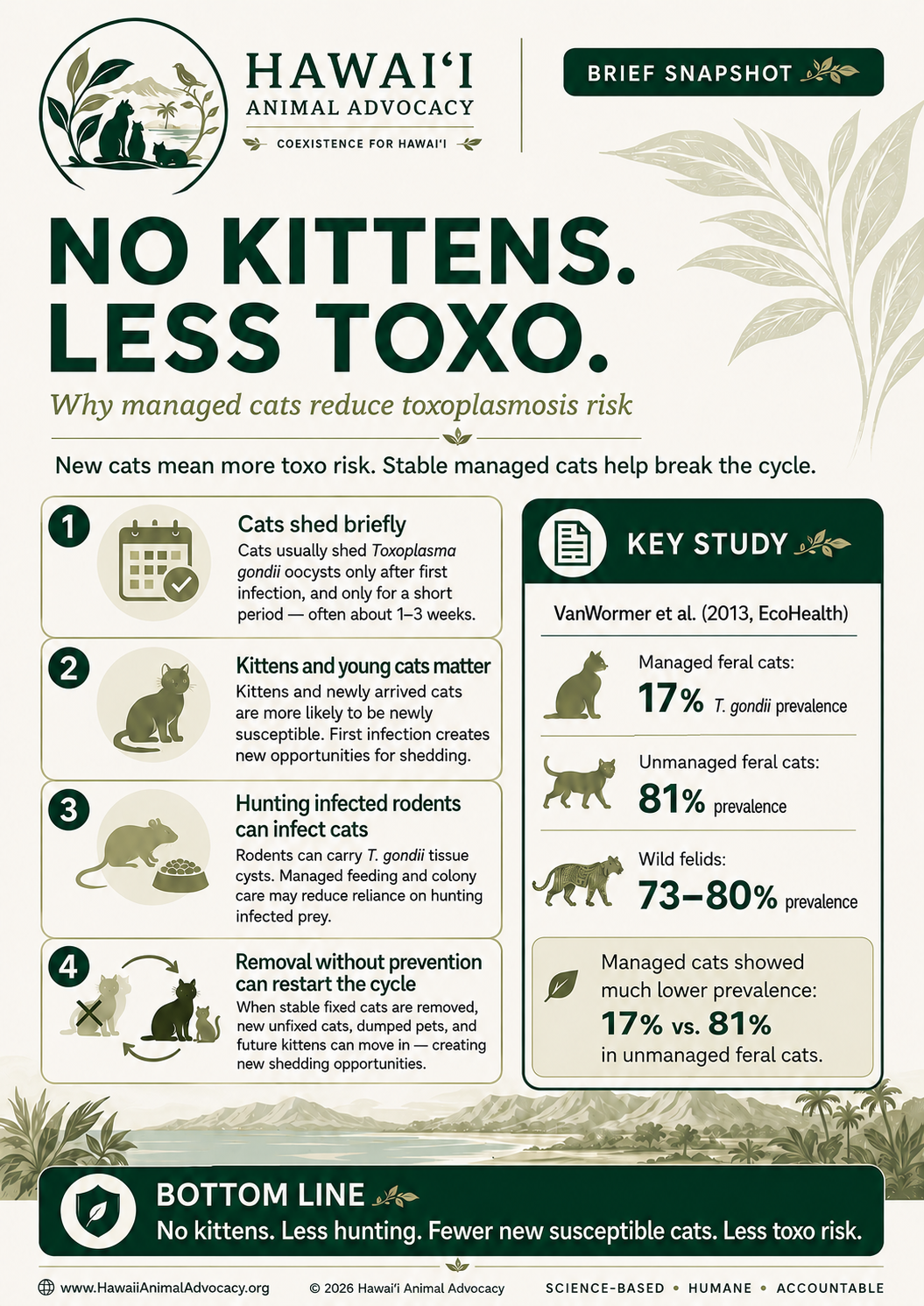 No Kittens Less Toxo