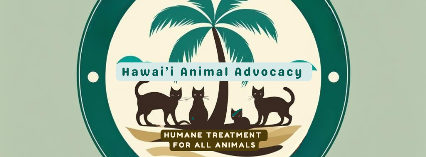 Protect Our Lost Pet Cats - Sign Petition To Stop Bill 51 & Allow Our Cats To Be Fed On County Land