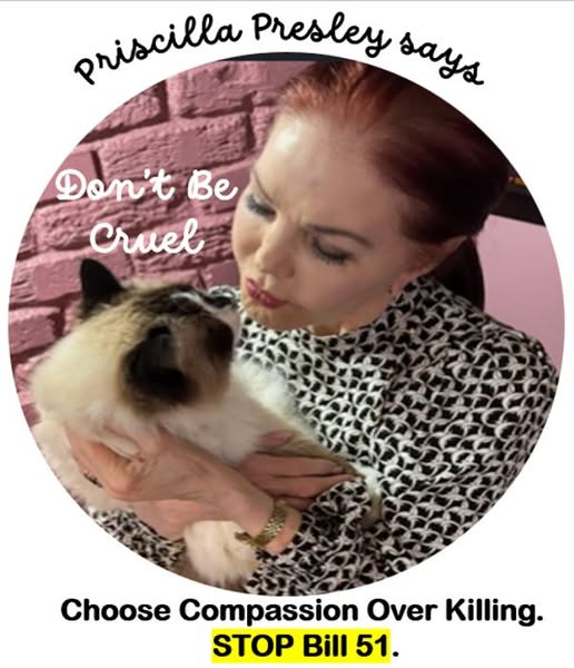 Dont Be Cruel