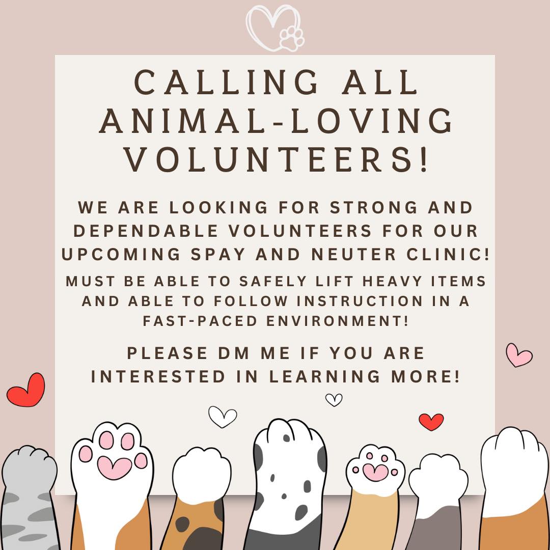 AWC_call_for_volunteers.jpeg