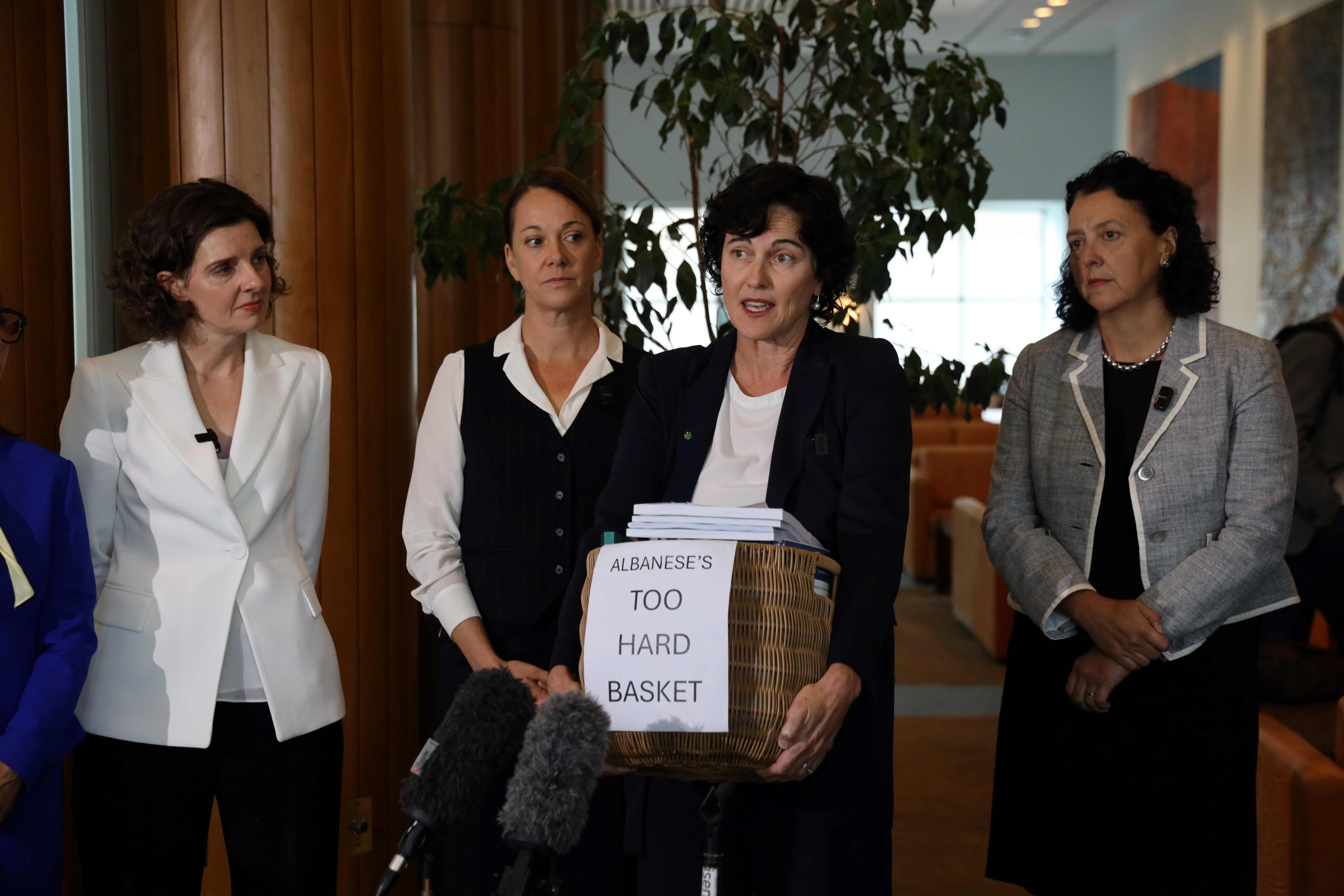 Accountability Campaign|Albanese's Too Hard Basket