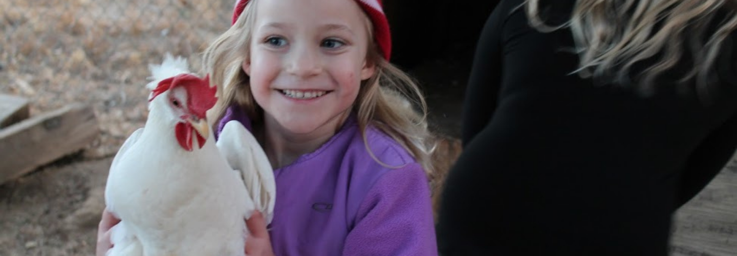 Explore our Programs