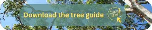 Download_the_tree_guide.jpg