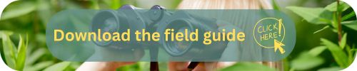 Download_the_tree_guide.jpg