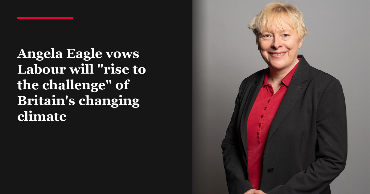 Angela Eagle vows Labour will 