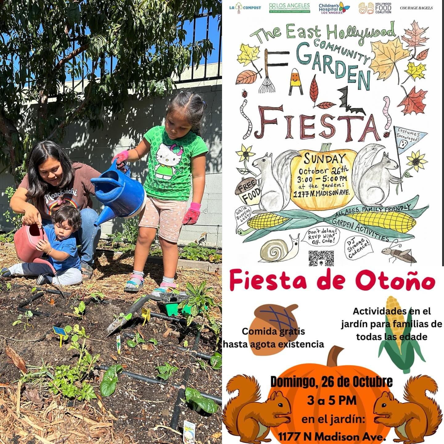 service day for corporate volunteers