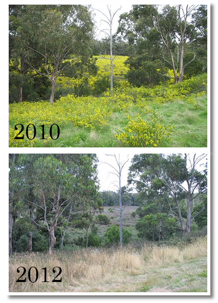 Mont_Broom_before_and_after.png