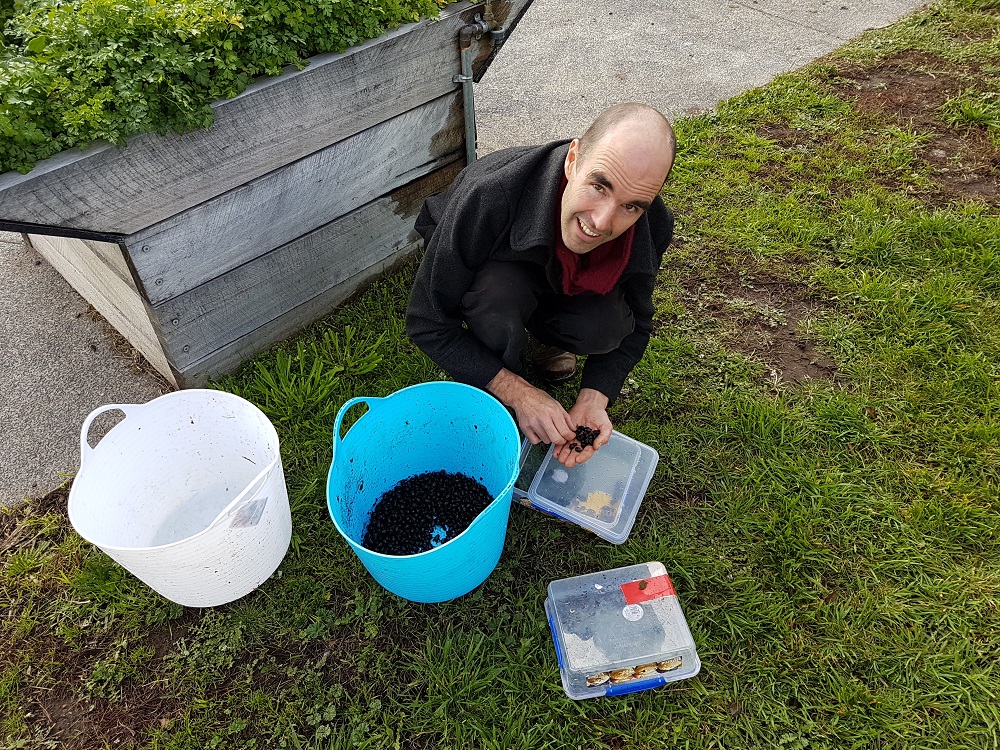 Just Launched - School Dung Beetle Breeding Program