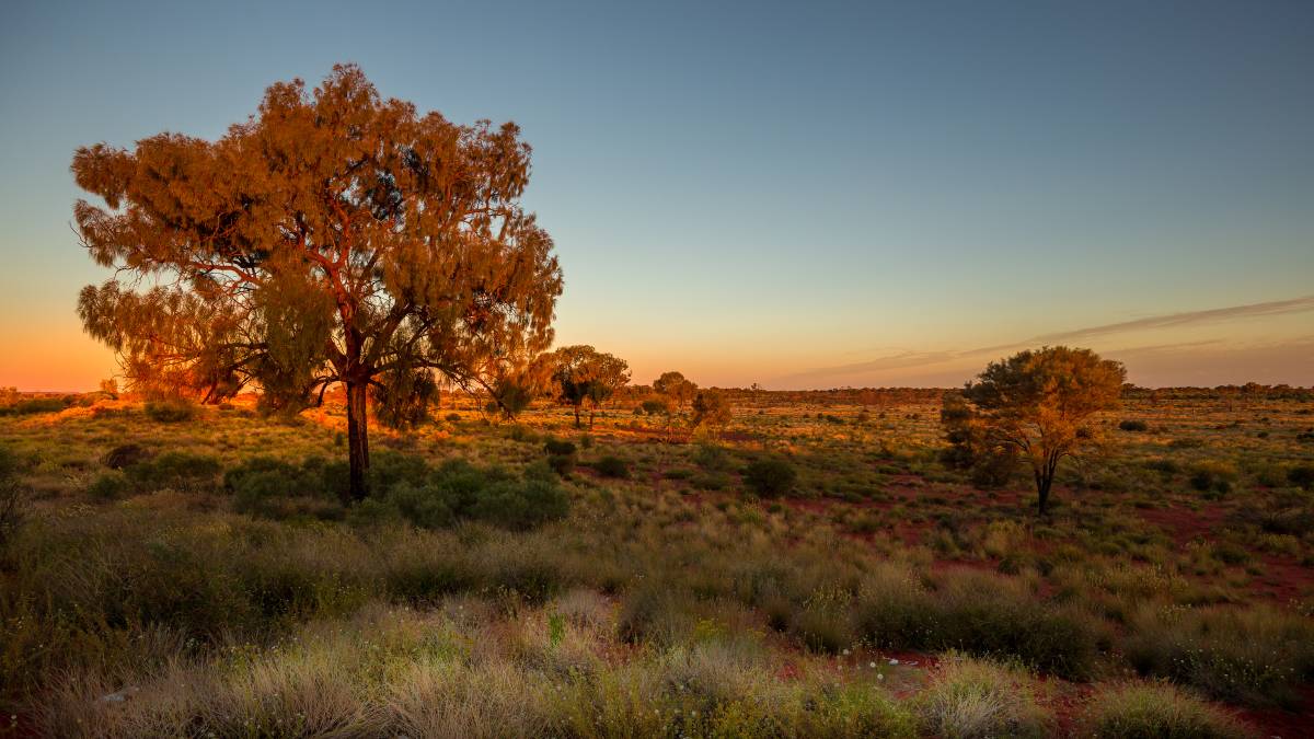 A Landcare-led Recovery