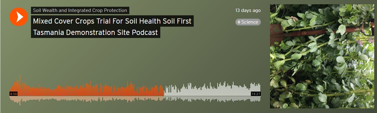 Mixed cover crops trial for soil health