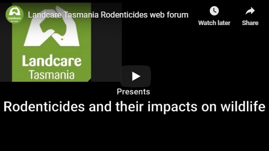 Work on rodenticides gathering pace