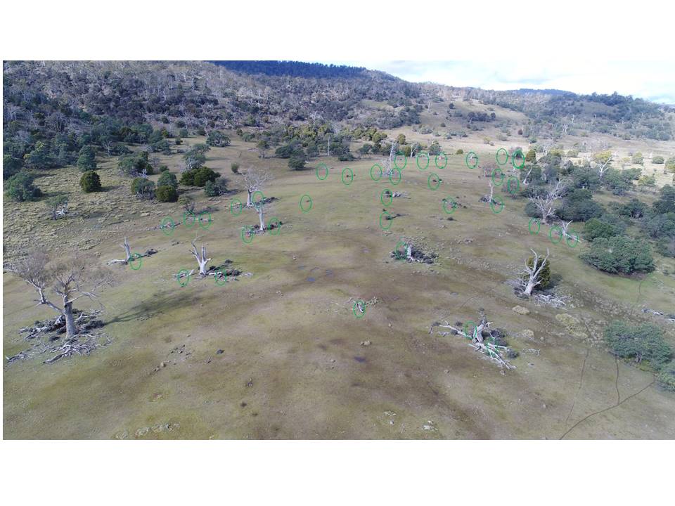 Fifteen Trees Plantings - Groups get more plants in the ground! 