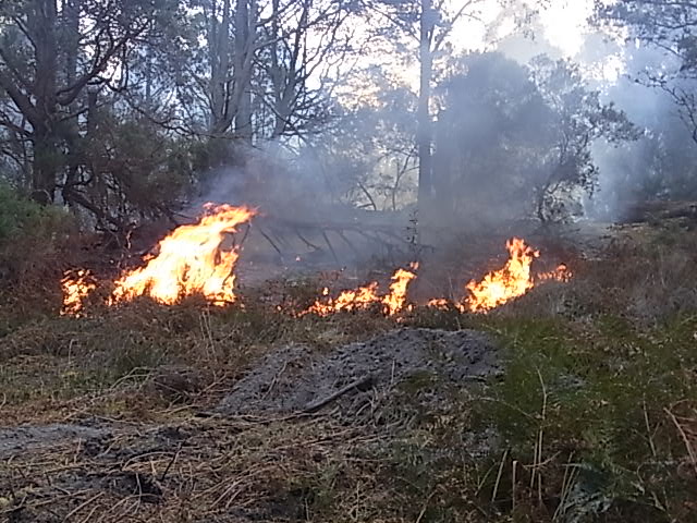  Bushfire Mitigation Measures Bill Open for Public Comment 