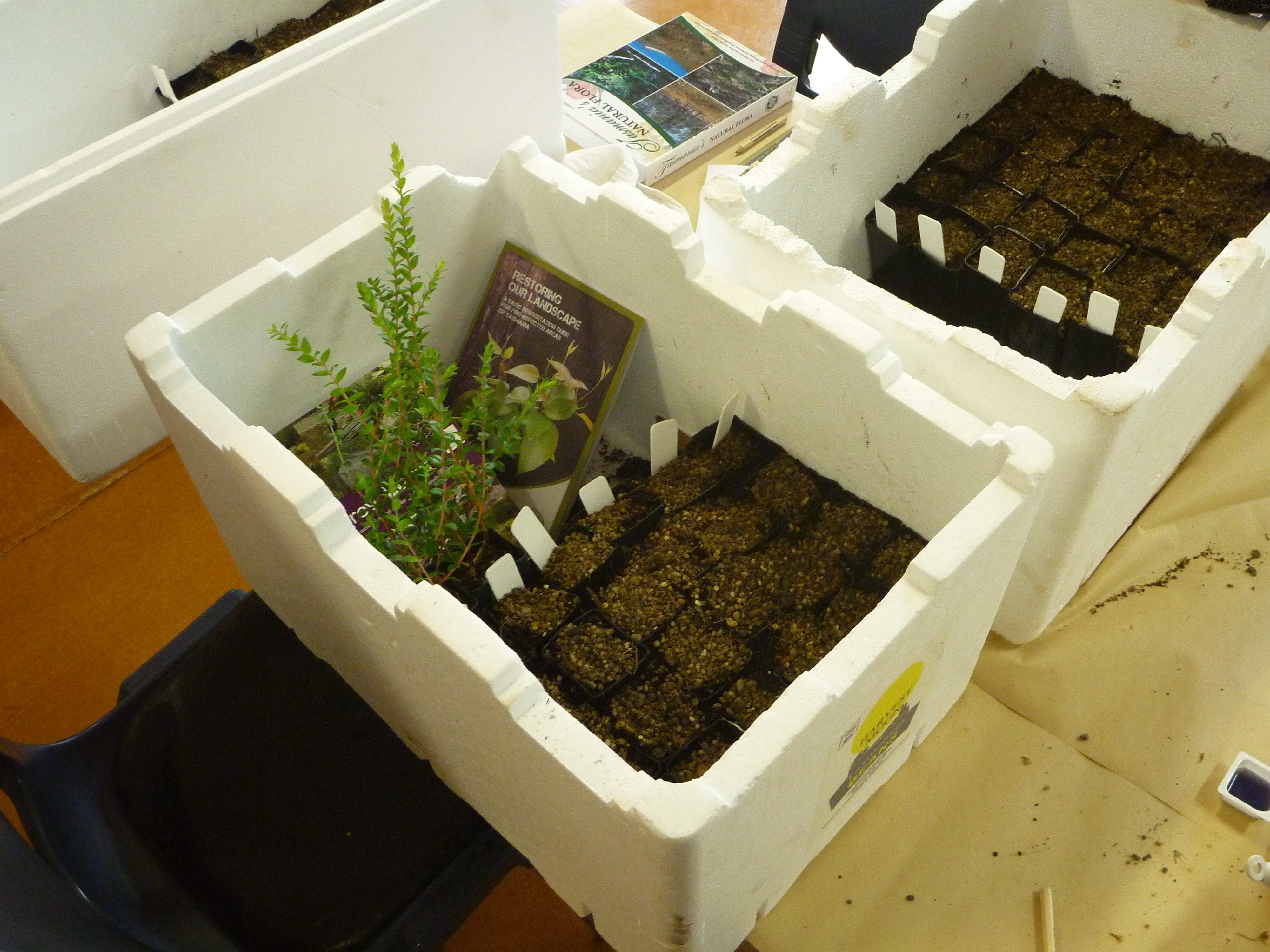 A successful weekend of seed workshops 