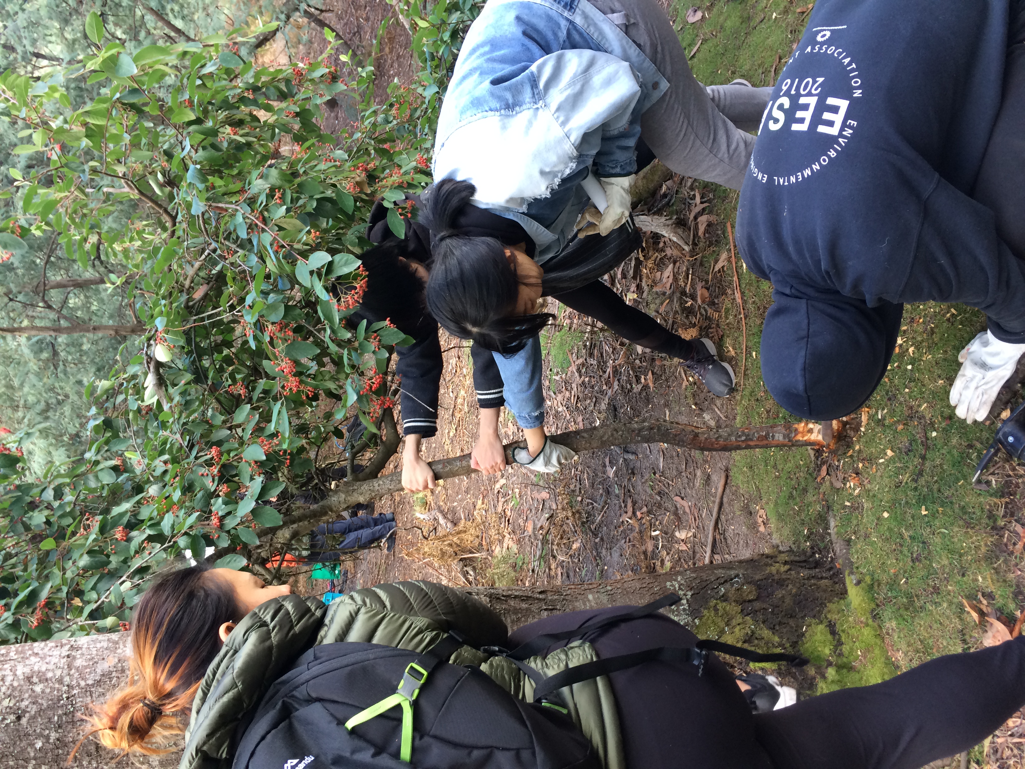 Weed training with New Landcarers 