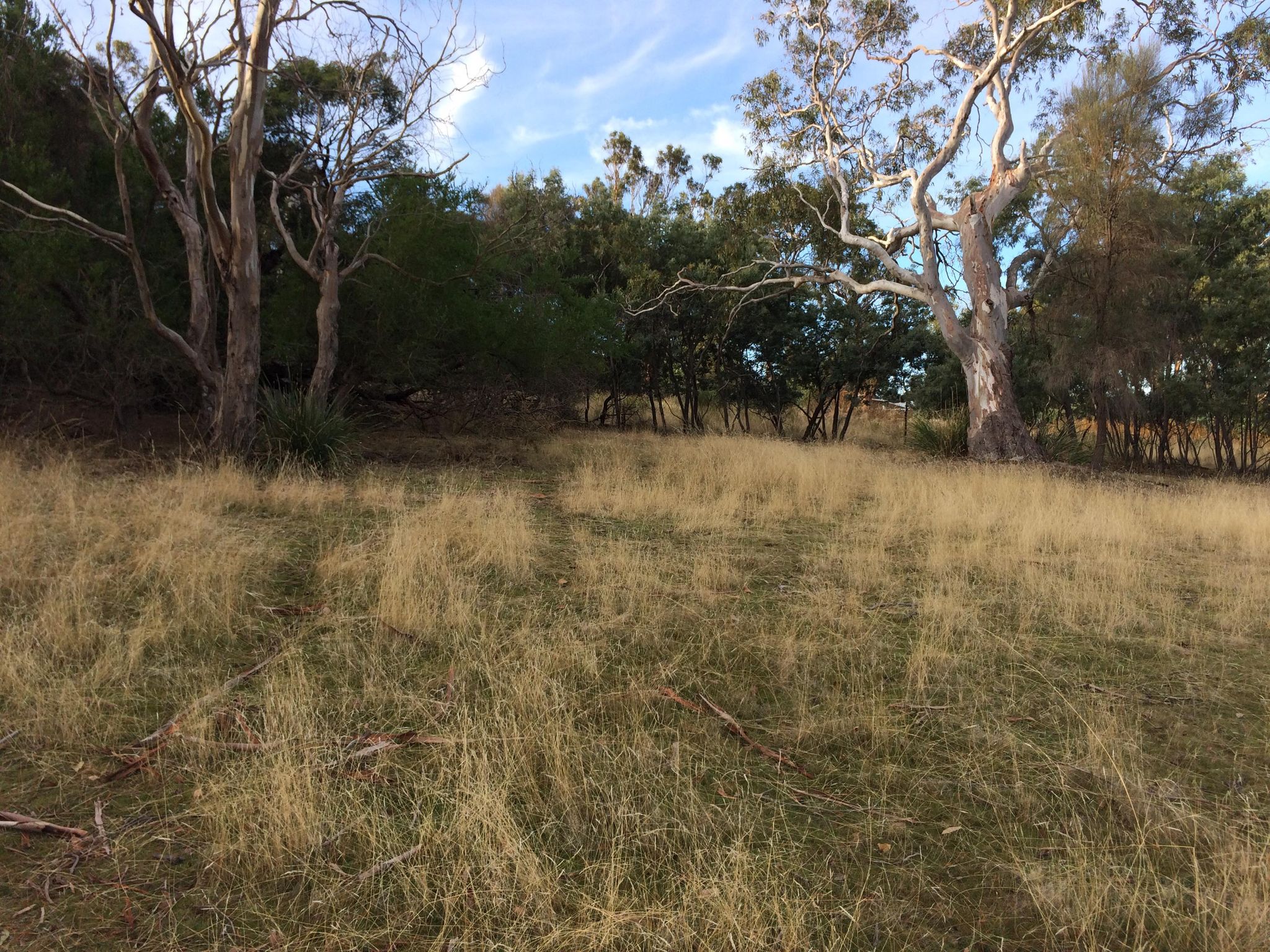 Bandicoot Bunkers with Rose Bay High 