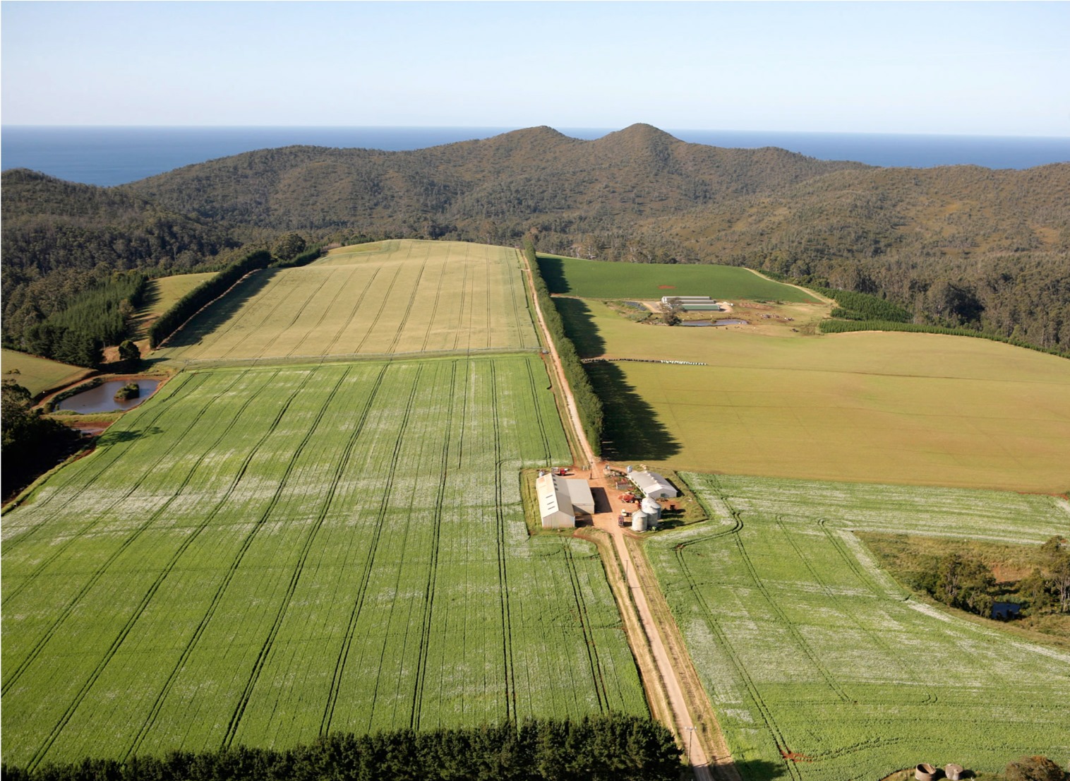 Tassie Farm Wins National Award 