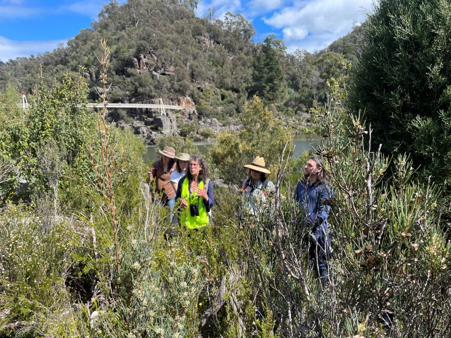 Field Trip to the Cataract Gorge 