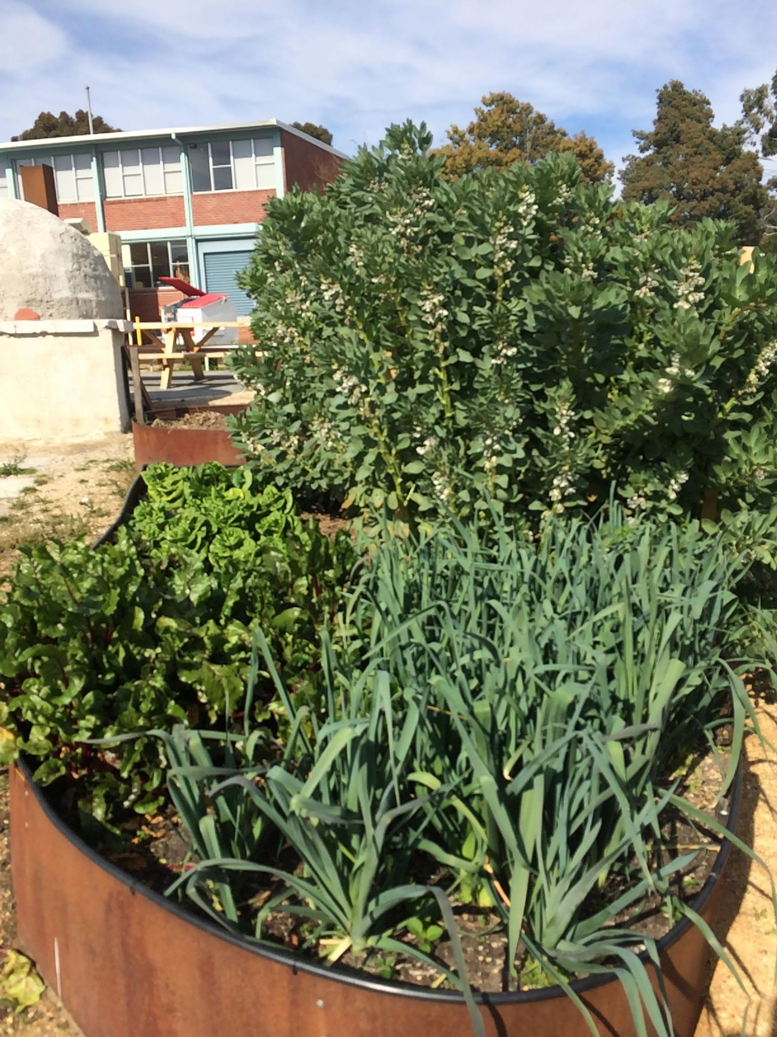 Creek Restoration, School Garden, and Ocean Ecosystems with Montrose Bay High Landcare Program 