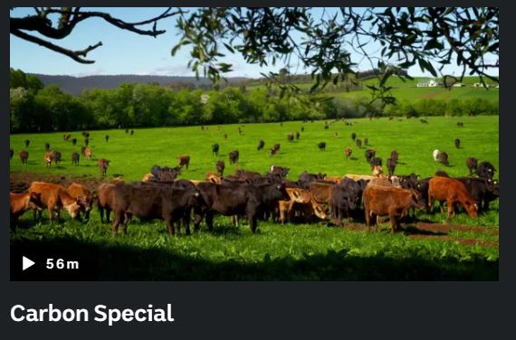 Member spotlight: Carbon positive farming with Tas Ag Co