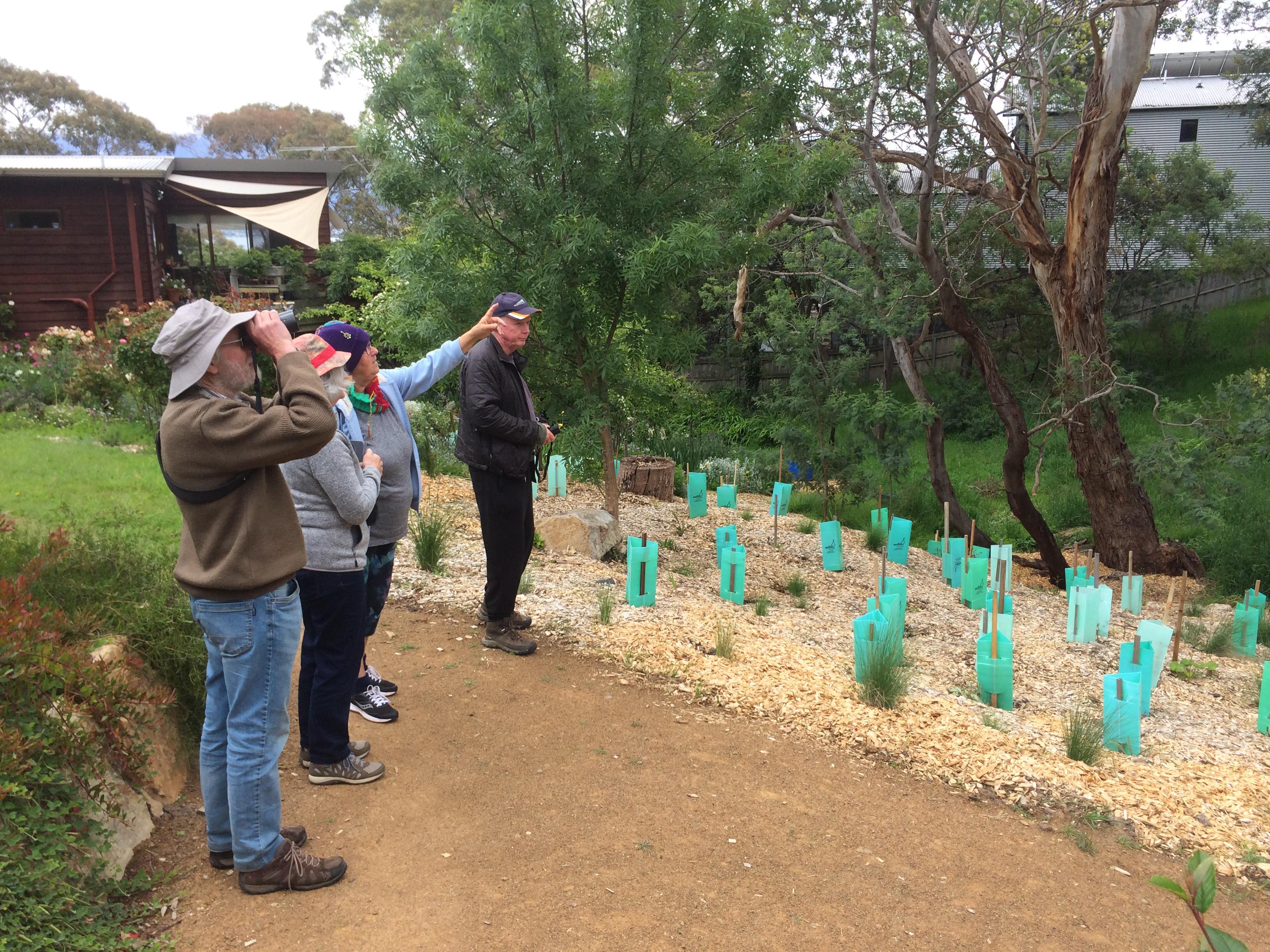Bird ID Workshop with TACPLACI 