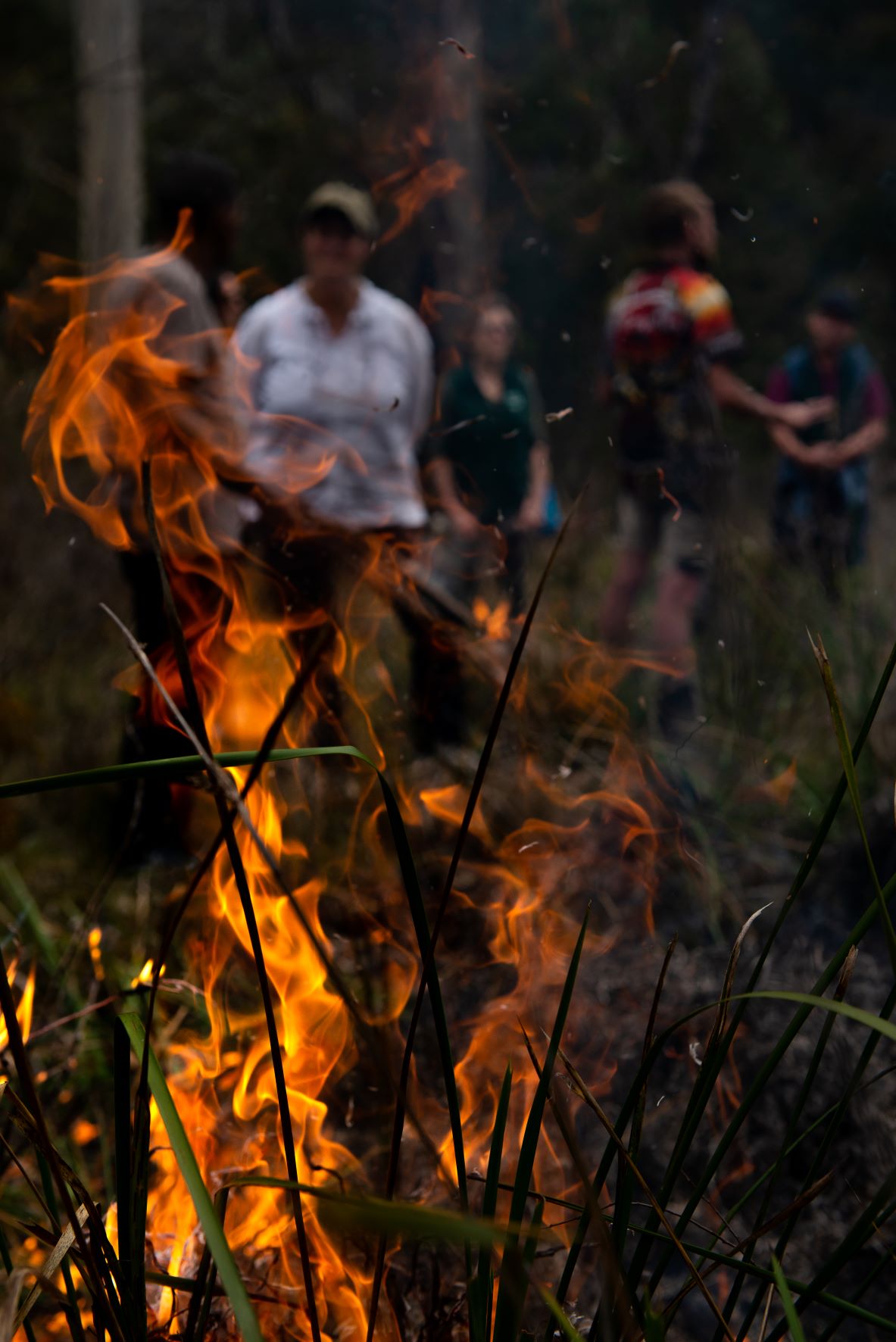 Knowledge Shared at Cultural Burning Workshop 