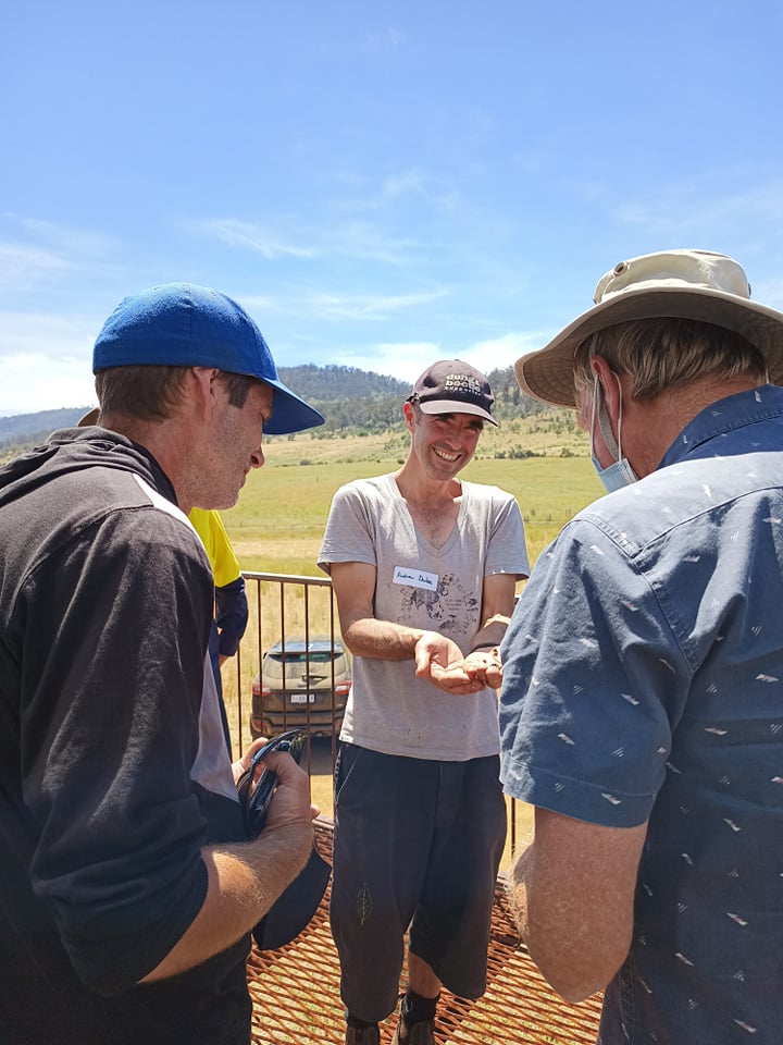 Dung Beetles and Regenerative Agriculture - Mini Workshops!