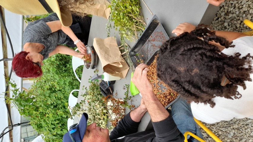 Bridgewater locals grow their own native plants 