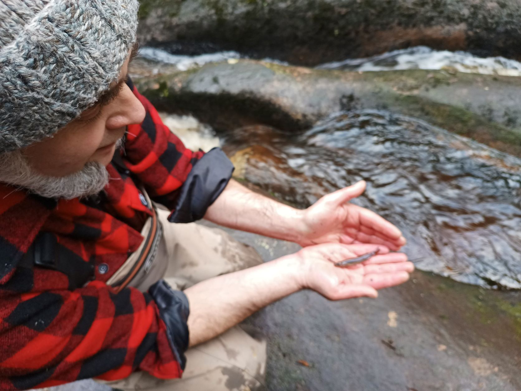River Health Workshop: Waterbugs, Nest Boxes, and More