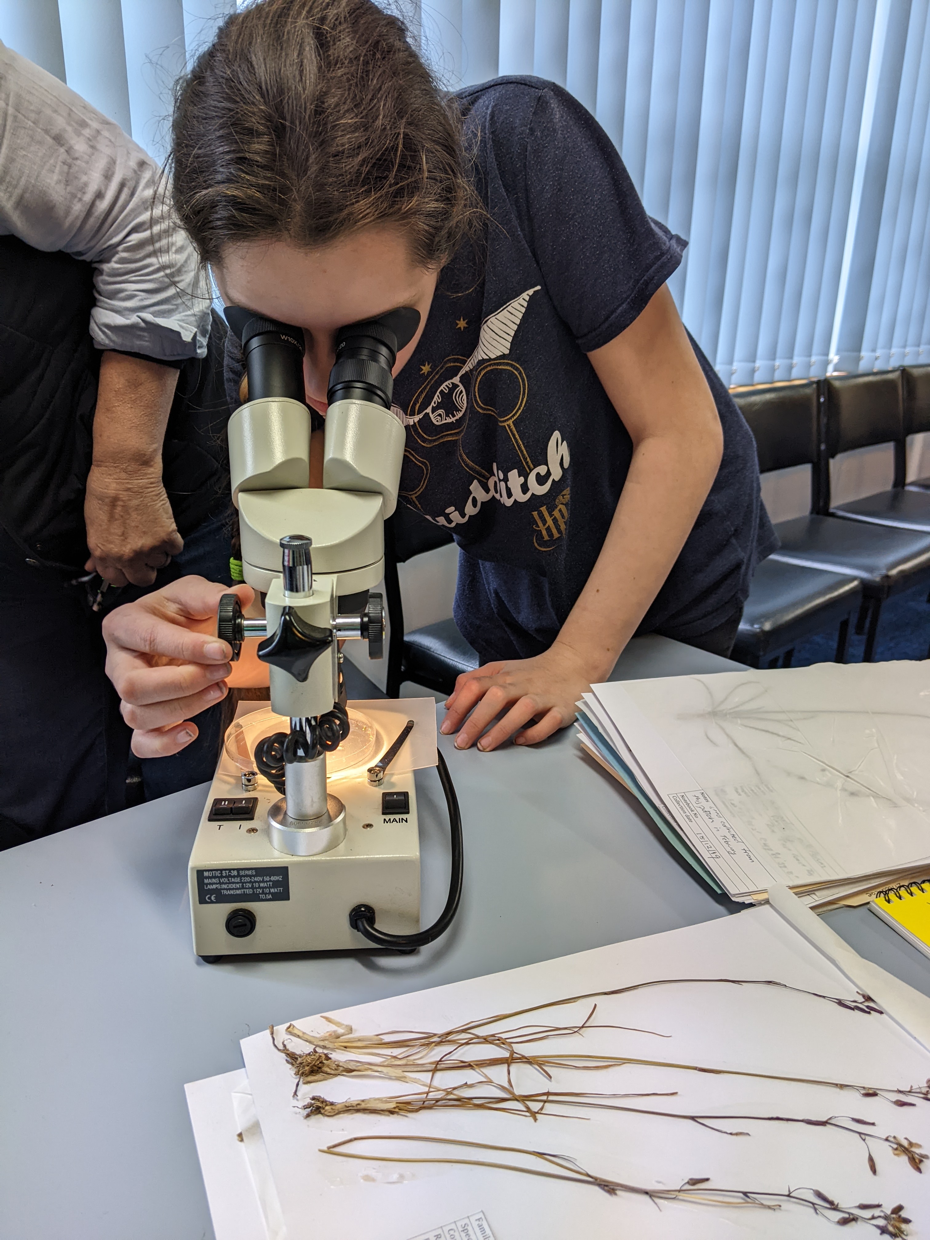 Native Plant Workshop in Queenstown 