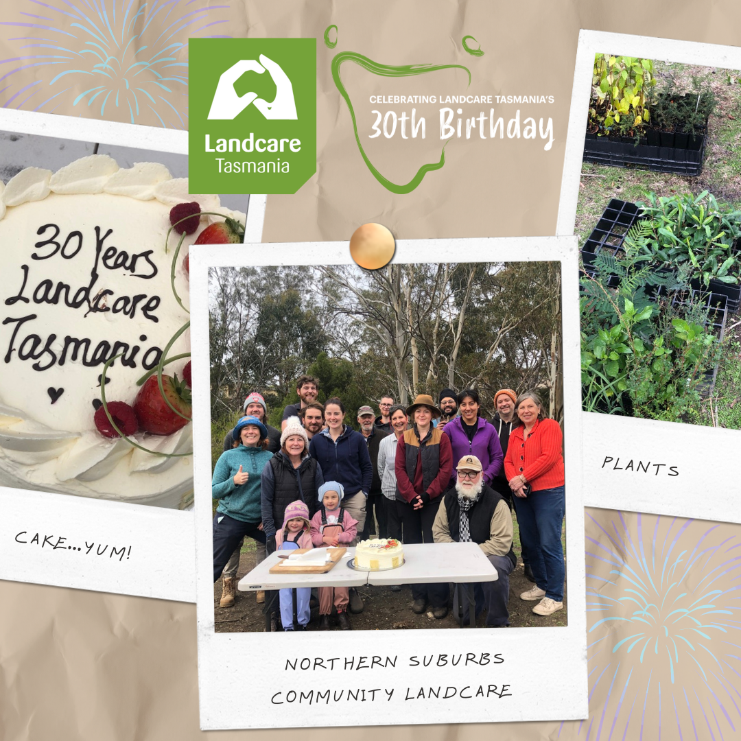 Celebrating with cake & working bees 