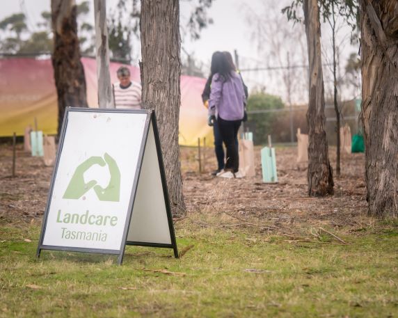2022 National Tree Day with Bridgewater Foreshore Landcare