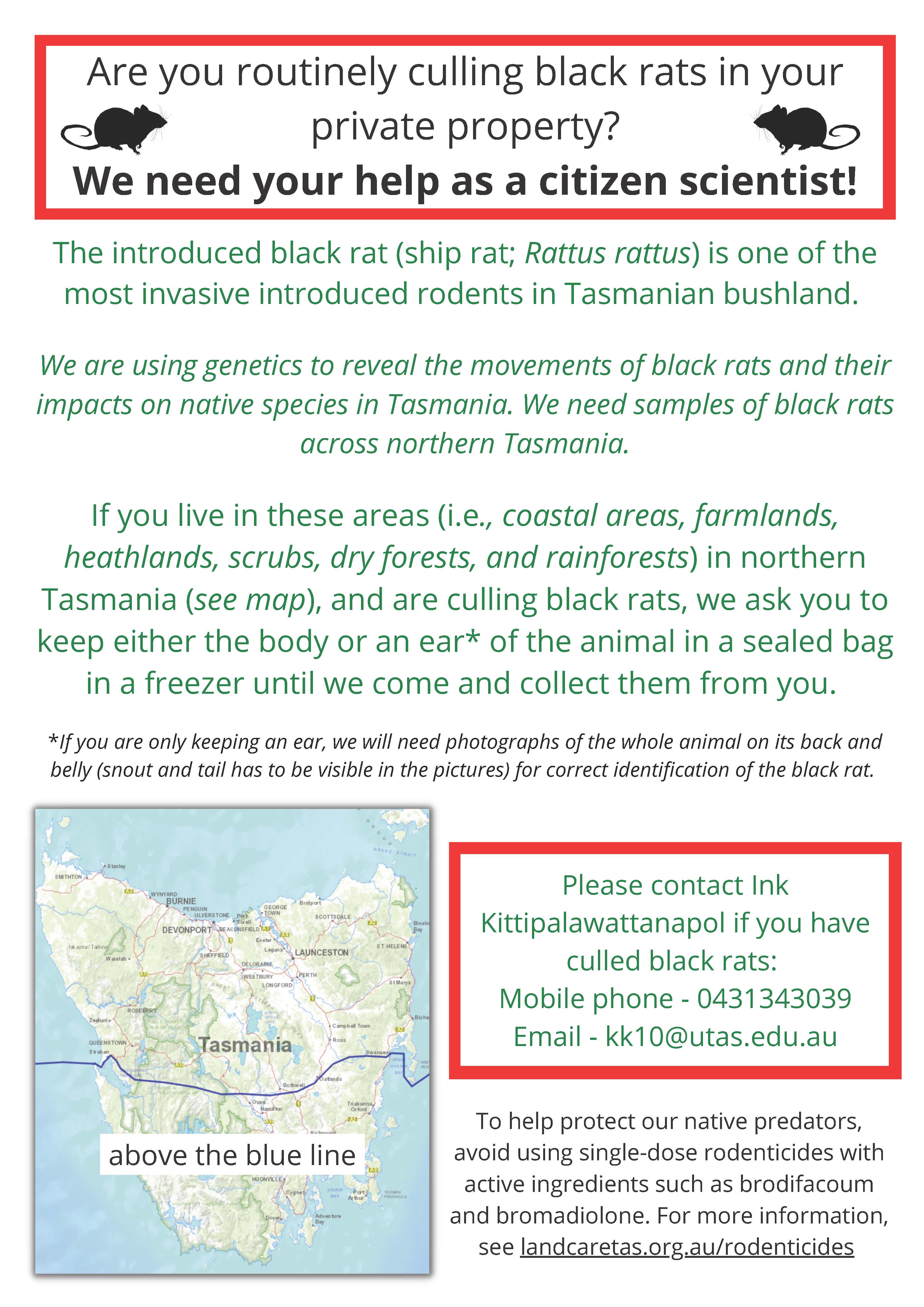 Help needed - are you culling black rats? 