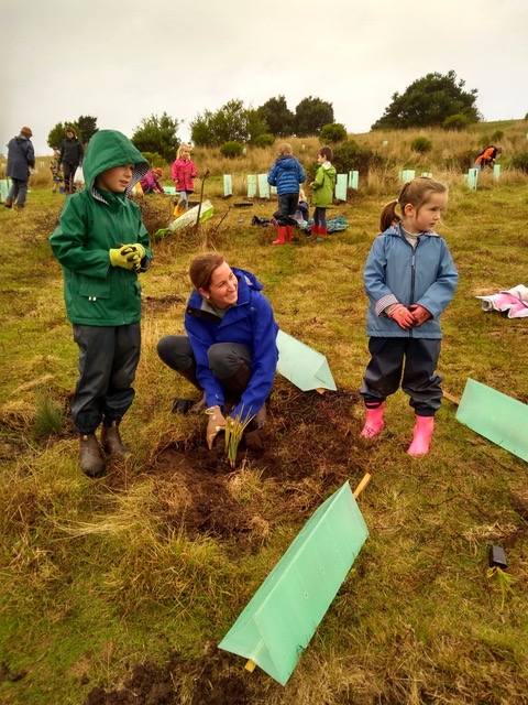 Fossil Bluff Hill Revegetation Project