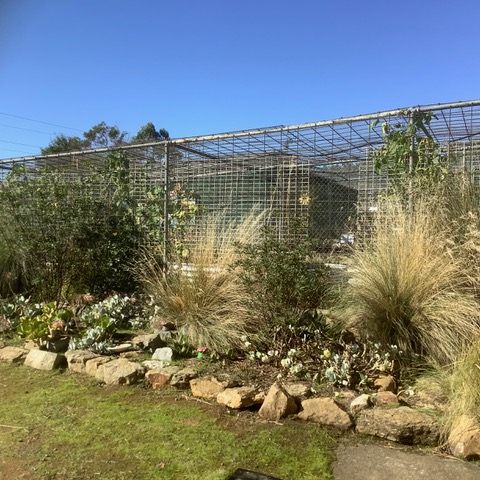 Understorey Network Plant Sale Draws Large Crowds 
