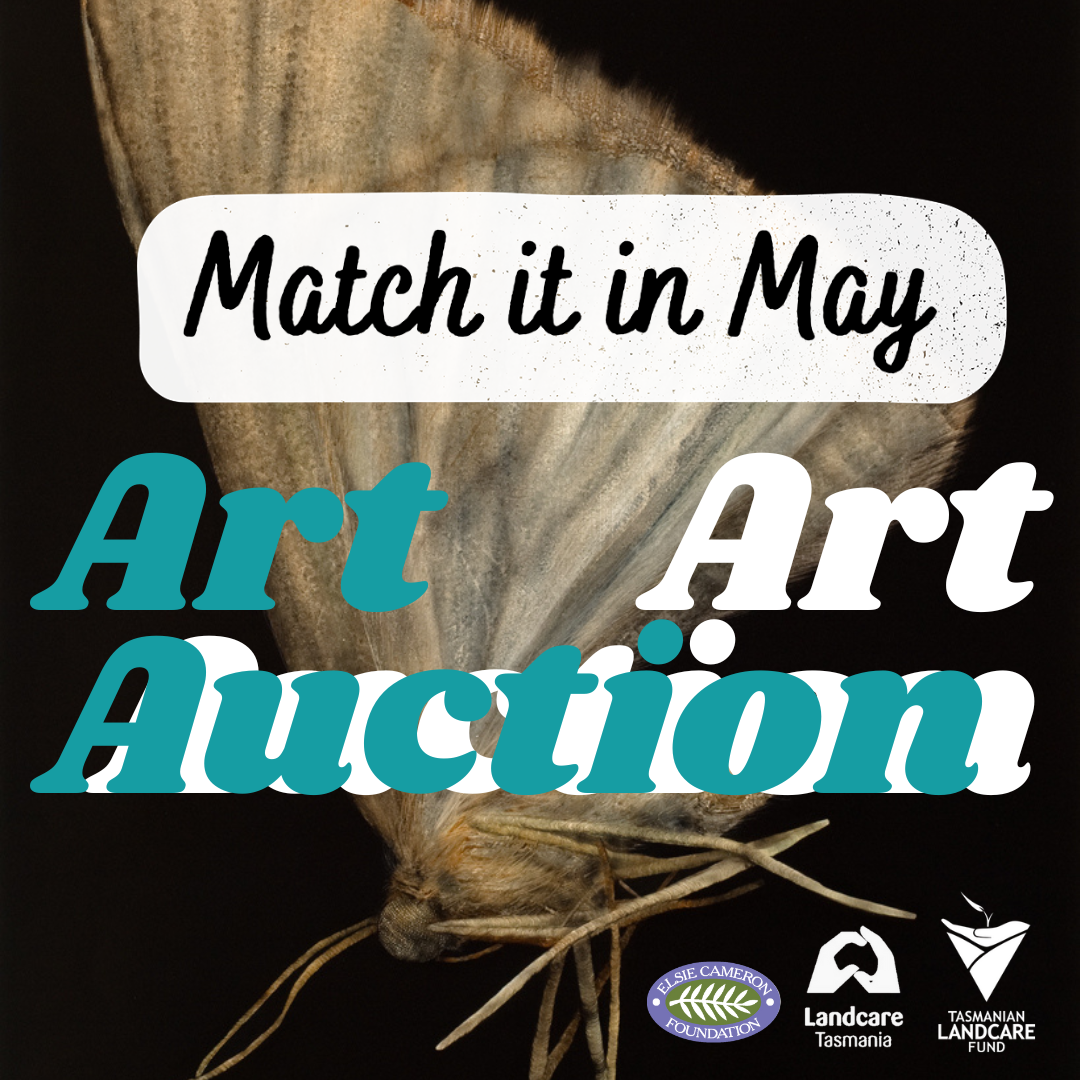 Celebrating Art Auction Success!