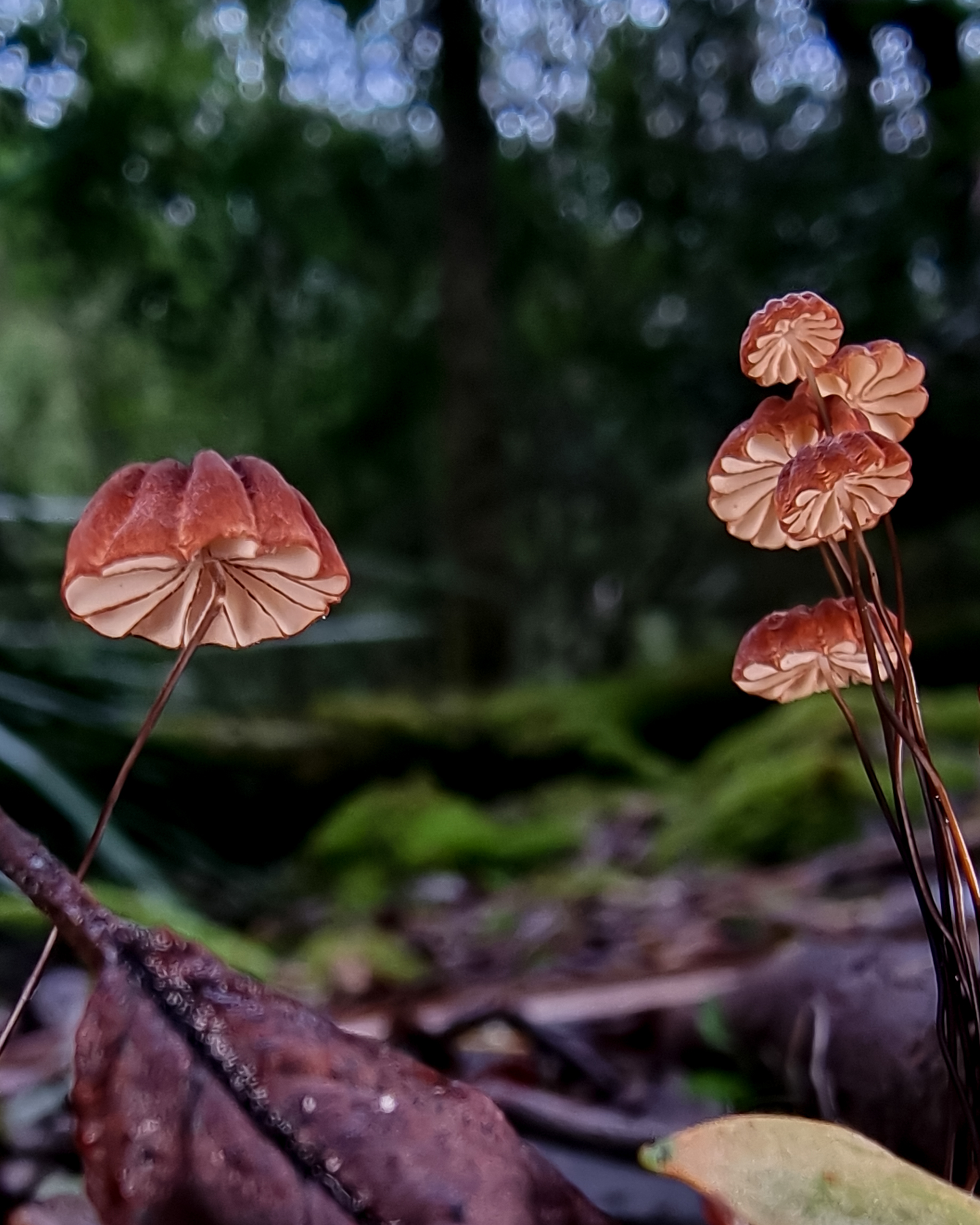 Announcing Photography Competition Winners! 