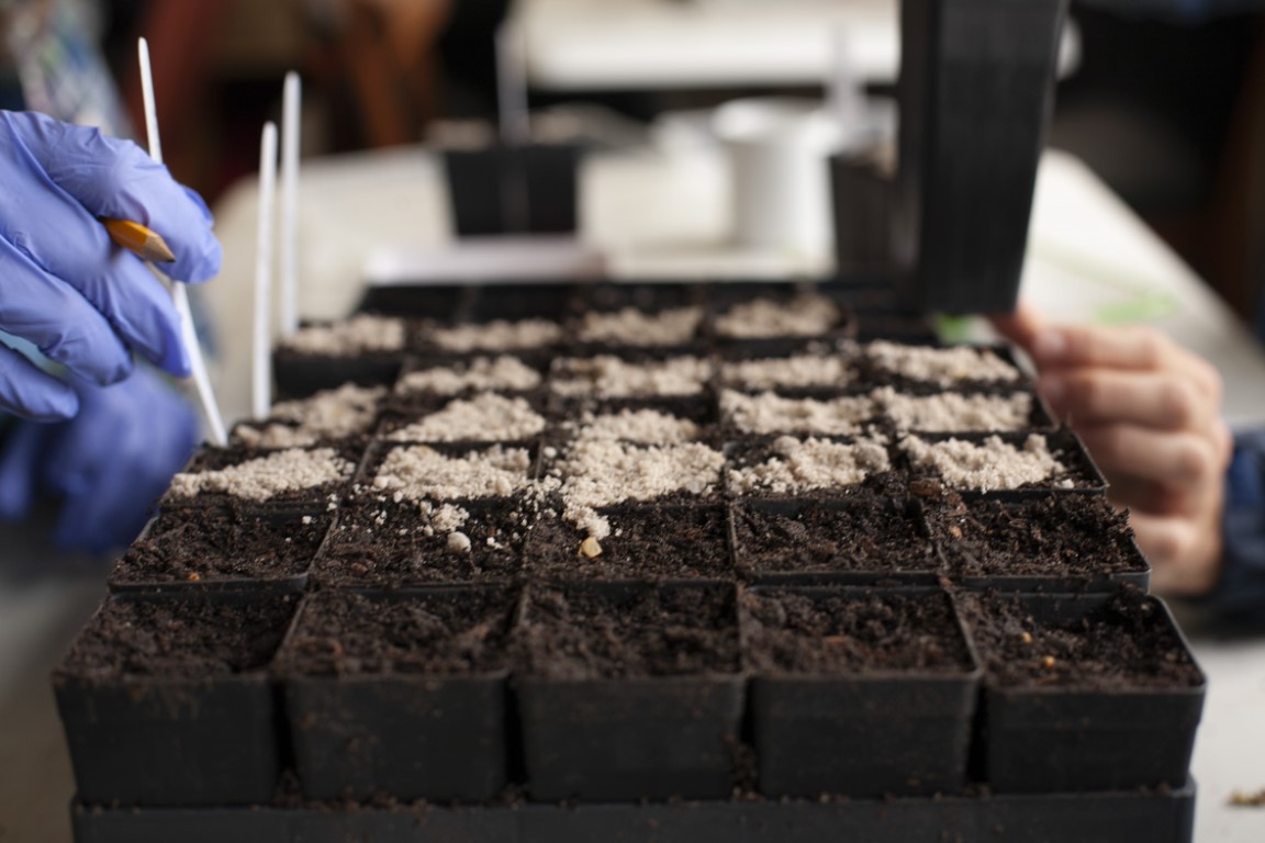 Time to order plants for 2024!