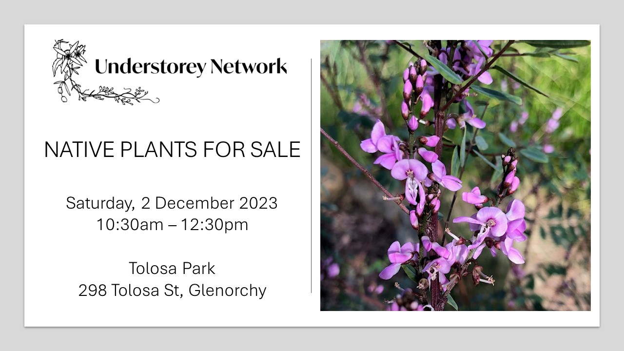  NATIVE PLANTS GROWN BY THE COMMUNITY FOR THE COMMUNITY