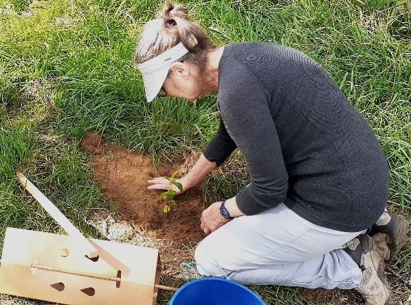 New Member Spotlight: Wildwood Landcare Group