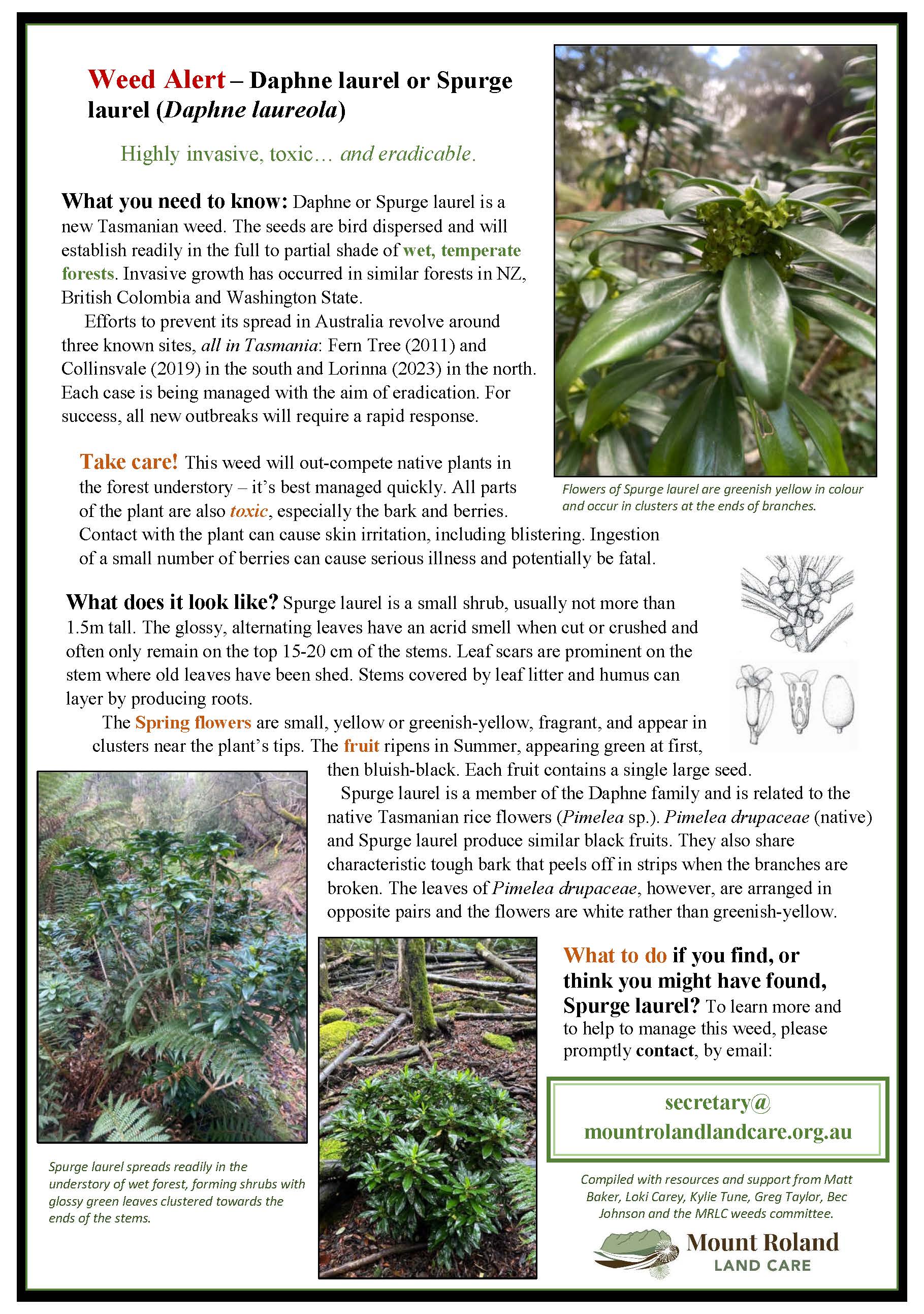 Weed Alert - Mount Roland Land Care